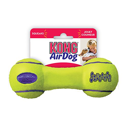 Rosewood Kong Squeaker Dumbbell Small