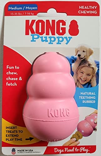 Kong Kong Kong Dog Toy, Medium, Assorted Colours