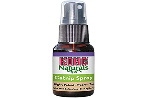 Kong Catnip Spray (30ml)