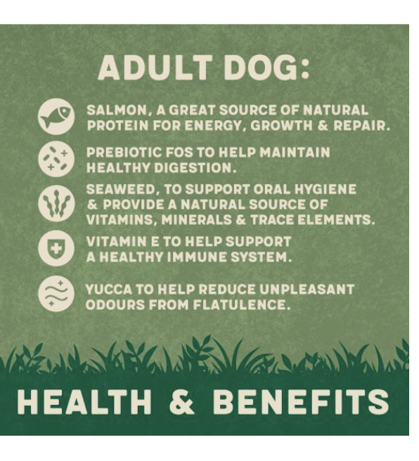 Harringtons Complete Salmon & Potato Adult Dry Dog Food